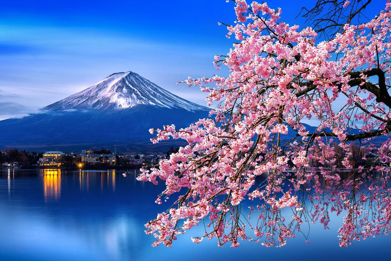 From Tokyo: Mount Fuji 1-Day Private Tour with Pickup