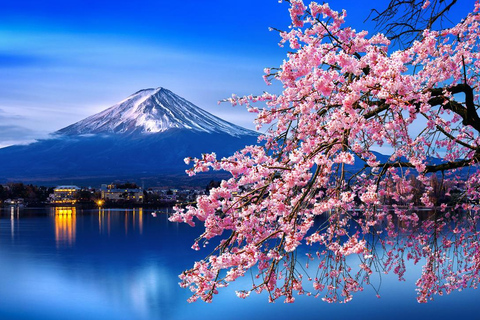 Tour privato del Monte Fuji e di Hakone di un giorno intero