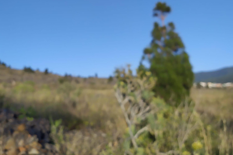 El Paso: Peña del Diablo Guided Walking Tour