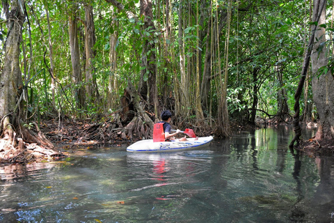 Kayaking and swiming klongrood