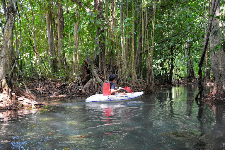 Kayak et baignade klongrood