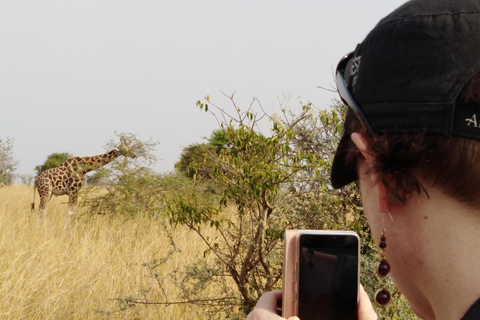 Uganda: 6-Day Safari with Kibale, Queen Elizabeth & More 6-Day Safari with Kibale, Queen Elizabeth & More