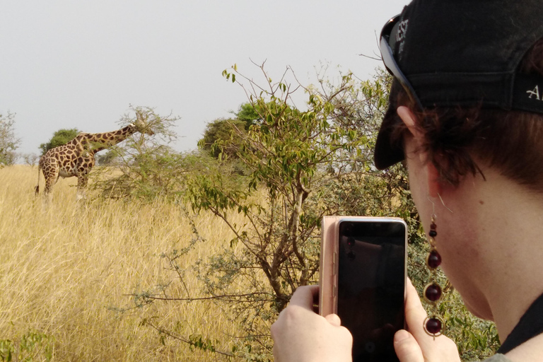 Uganda: 6-Day Safari with Kibale, Queen Elizabeth & More 6-Day Safari with Kibale, Queen Elizabeth & More