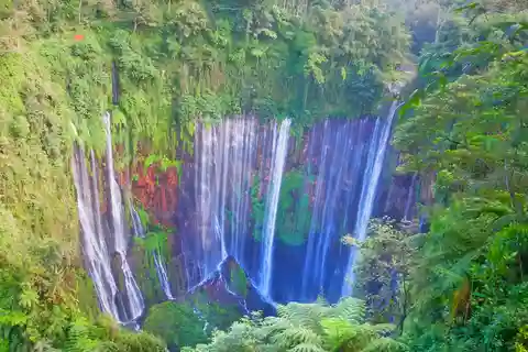 Private Tour : Jakarta - Bali 13 Day 12 Night with Hotel