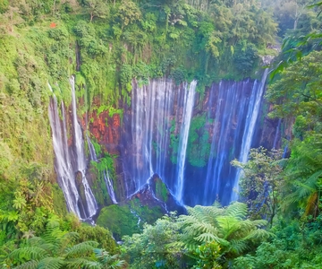 Privétour : Jakarta - Bali 13 Dagen 12 Nachten met Hotel