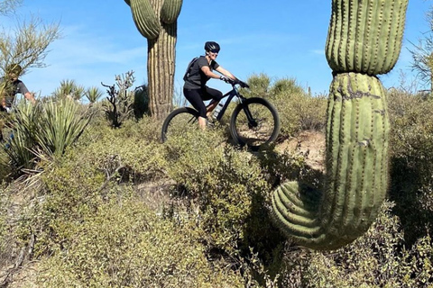 Scottsdale: Excursión guiada en bicicleta de montaña por el desierto