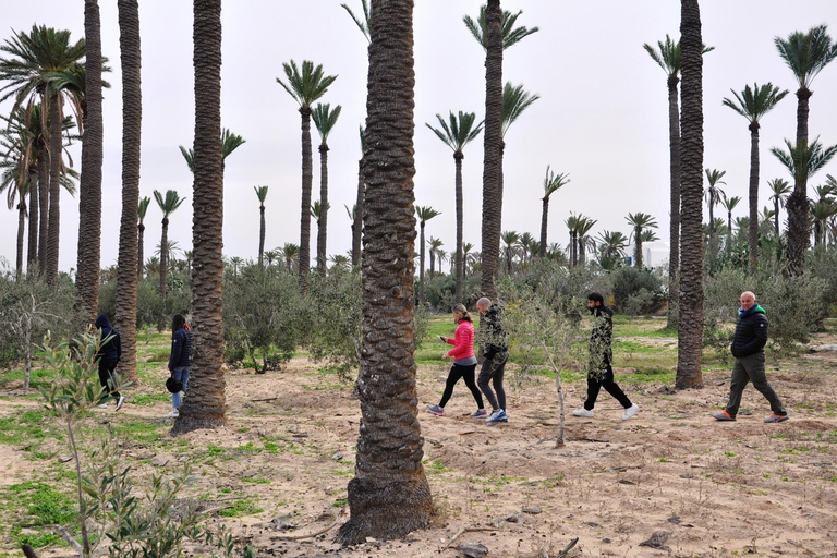 Djerba: Passeio pela ilha; Visita os melhores lugares de Djerba.Djerba: Passeio pela ilha; Visita os melhores lugares em Djerba.