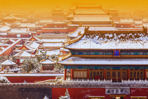 Beijing: Forbidden City & Panda Zoo Private Tour Beijing Panda Zoo （only ticket，not tour）