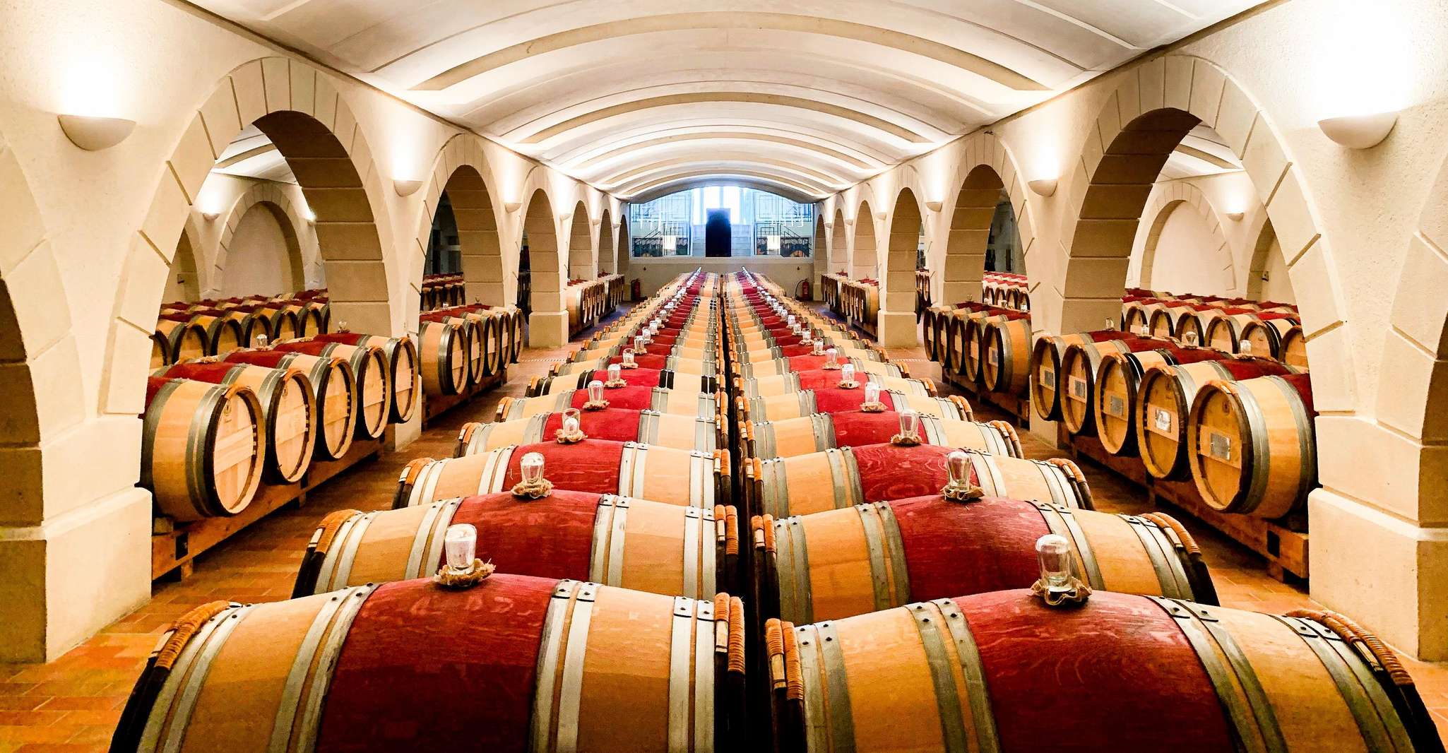 Saint-Émilion, Gravel bike tour, wine tasting & picnic - Housity