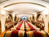 Saint-Émilion, Tour en bicicleta de grava, degustación de vinos y picnic - Housity