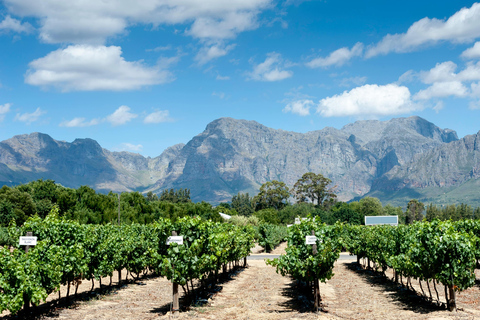 Visit winery in guadalest