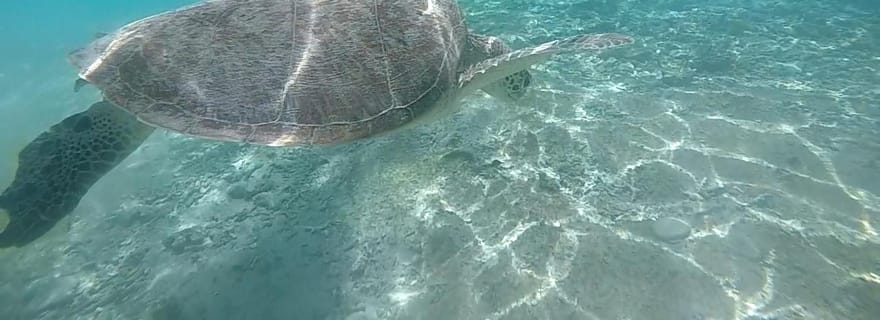 Private Snorkeling Tour GoPro Footage Costumize Tour