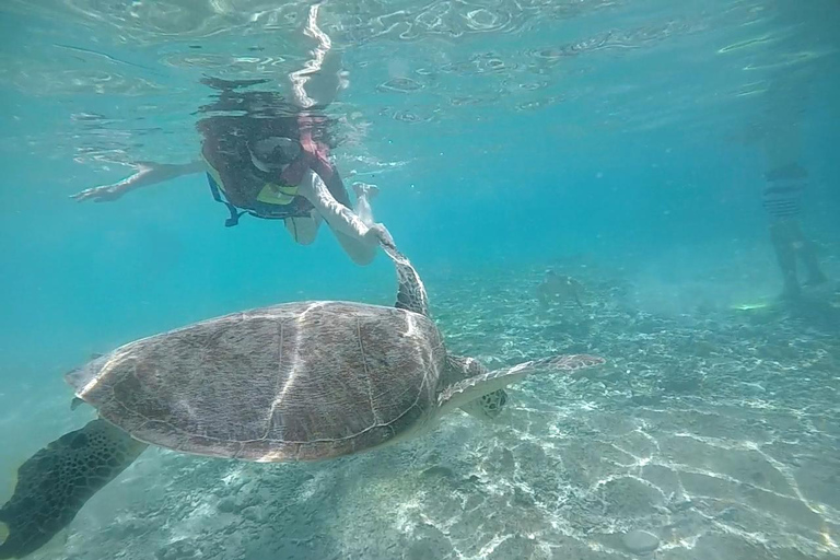 Private Snorkeling Tour GoPro Footage Costumize Tour Snorkeling Gili Trawangan, Gili Meno and Gili Air with GoPro