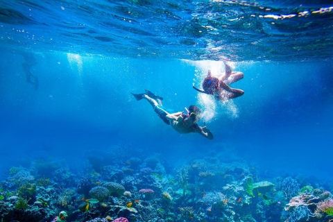 Bali: all-inclusive eiland- en snorkeltocht Nusa LembonganPrivé-eilandtour met gedeelde transfer op Bali