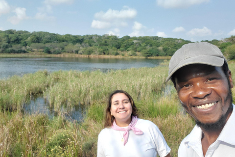 From Maputo: Maputo National Park Guided 4x4 Safari