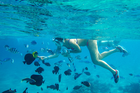 Från Stone Town: Snorkling och delfinupplevelse på Mnemba