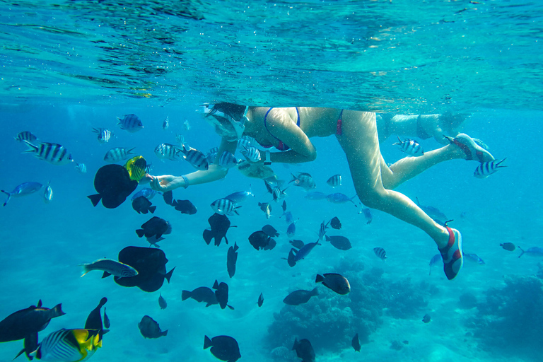 Från Stone Town: Snorkling och delfinupplevelse på Mnemba