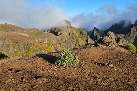 Madeira: Pico do Arieiro Sunrise, Waterfalls, and Fanal Trip