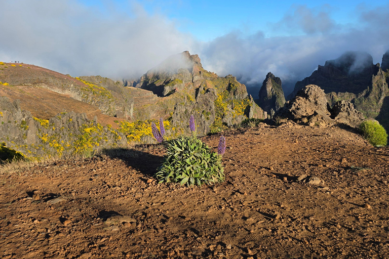 Madeira: Pico do Arieiro Sunrise, Waterfalls, and Fanal Trip