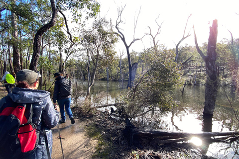 Perth: Numbat Trail Hike at Paruna Wildlife Sanctuary