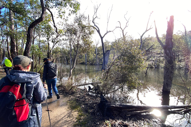 Perth: Numbat Trail Hike at Paruna Wildlife Sanctuary