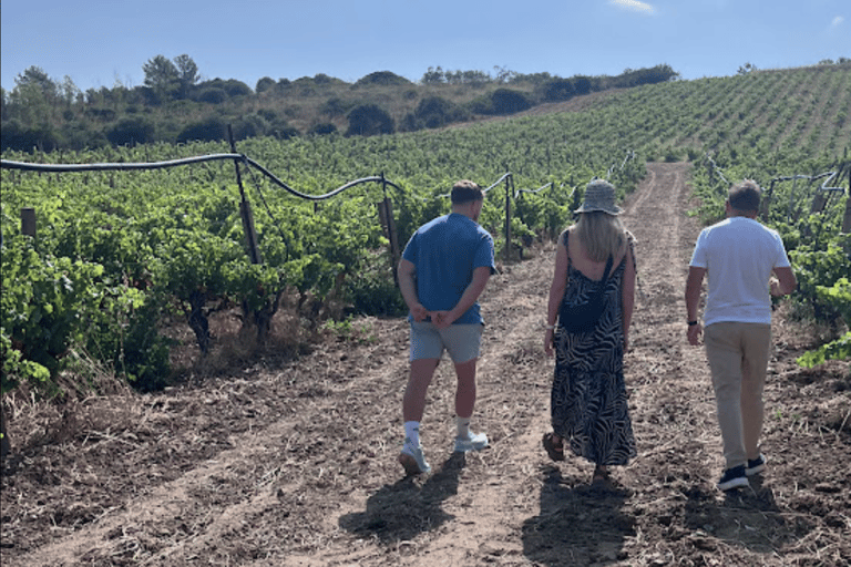 From Cagliari: Wine Cellar Tour with Tastings