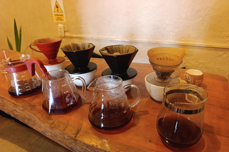 Cusco: Specialty Coffee Tasting-Sensory Experience (2 Hours)