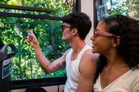 Rio, Christ the Redeemer, Sugarloaf, Selaron & BBQ Lunch - Housity