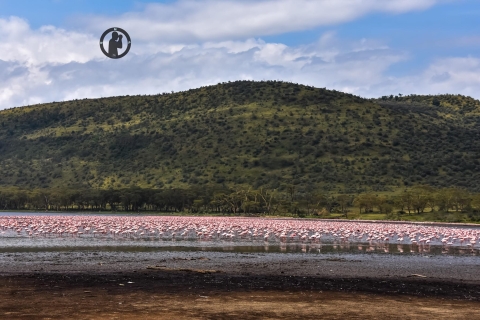 2 Tage Lake Nakuru und Lake Naivasha Safari Paket