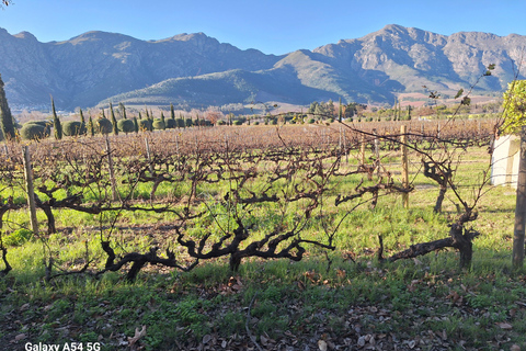 Private Wine Tasting tour