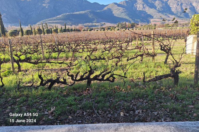 Private Wine Tasting tour