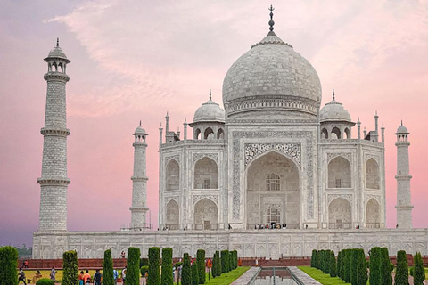 Från Delhi: Taj Mahal dagsutflykt med stadsvandring och transferendast professionell guide