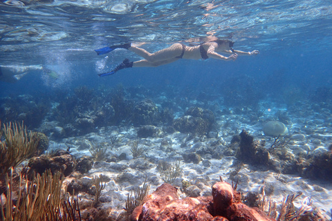 Grand Cayman: Catamaran Cruise with Stingray City & Snorkel