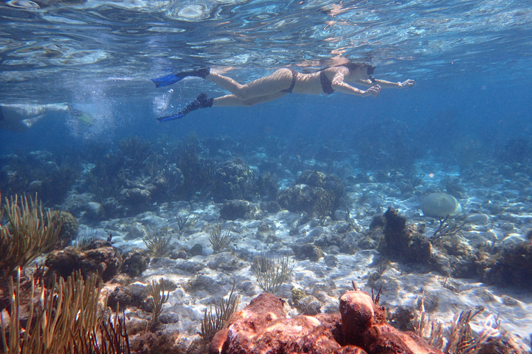 Grand Cayman: Catamaran Cruise with Stingray City & Snorkel