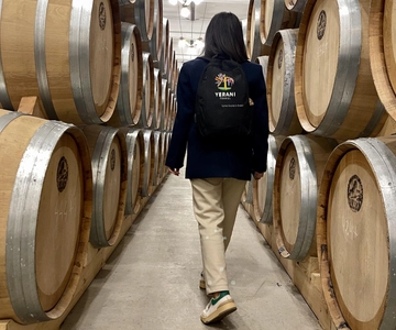 Day Trip to Lake Sevan, Dilijan, Ijevan Wine Brandy Factory