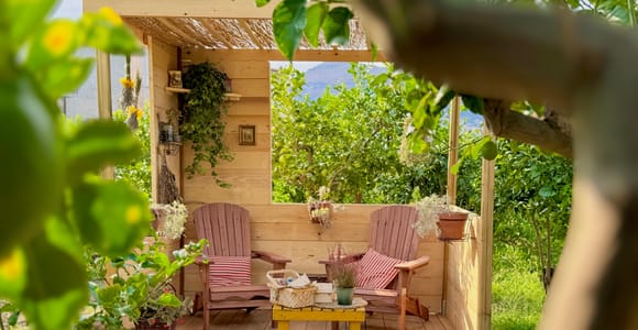 Palermo: Literary Picnic in the Citrus Grove and Limoncello Tasting