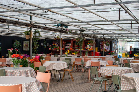 Amsterdam: Tulpenwonderland Tour