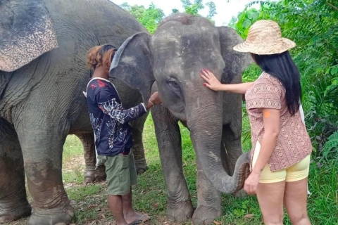 Phuket: Excursión interactiva de un día completo a pie con elefantes éticos