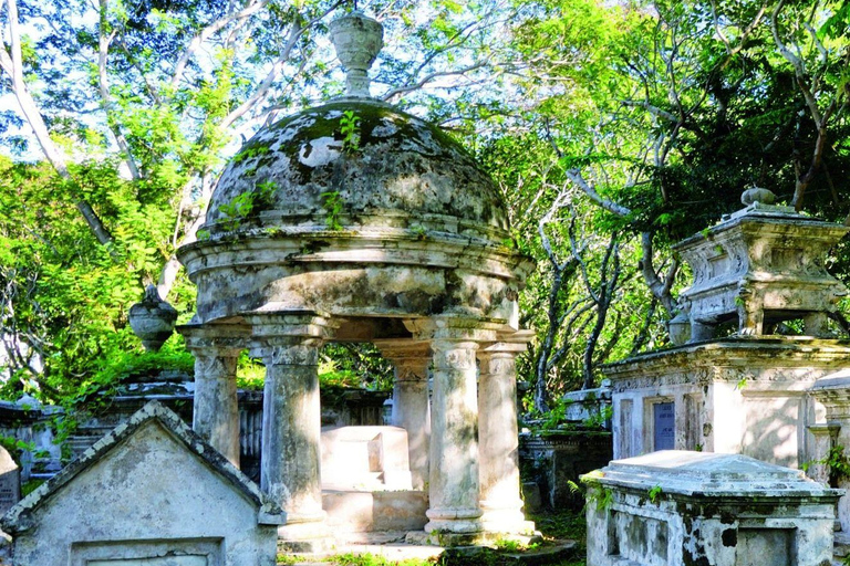 George Town: Heritage Trail Guided Walking Tour