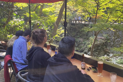 Marche dans la forêt de Mino à Osaka et chute d&#039;eau géante avec déjeuner local