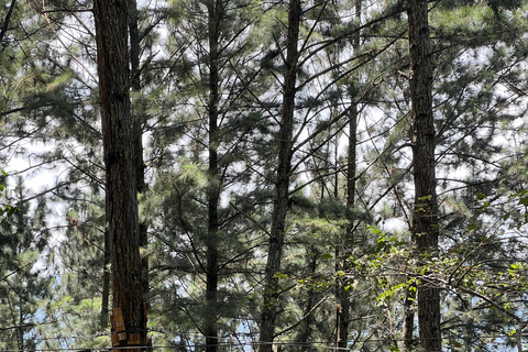 Colombo to Ambuluwawa Tower Private Day Trip 12 Hours