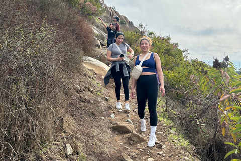 San Diego: Guided Meditation and Mountain Hike Tour