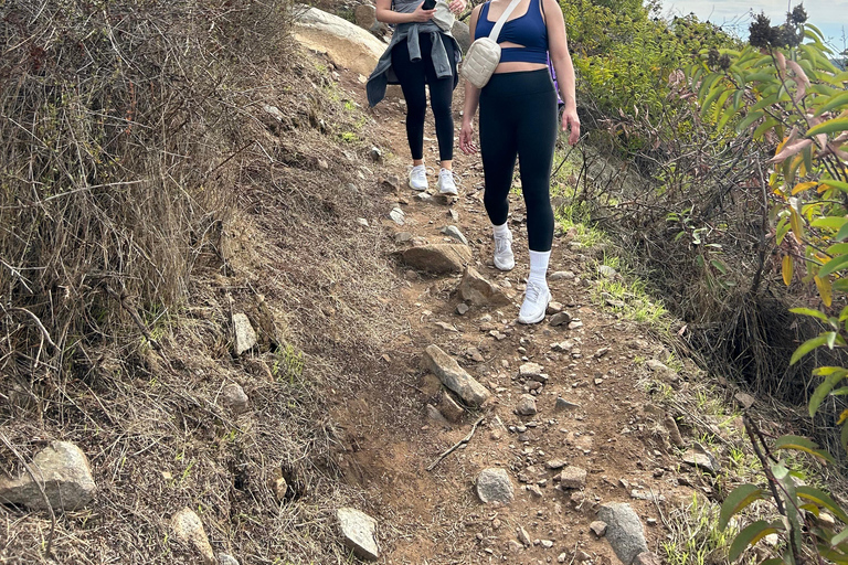 San Diego: Guided Meditation and Mountain Hike Tour