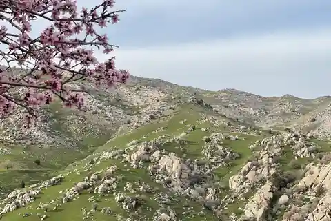 From Samarkand: Shahrisabz Private Day Tour