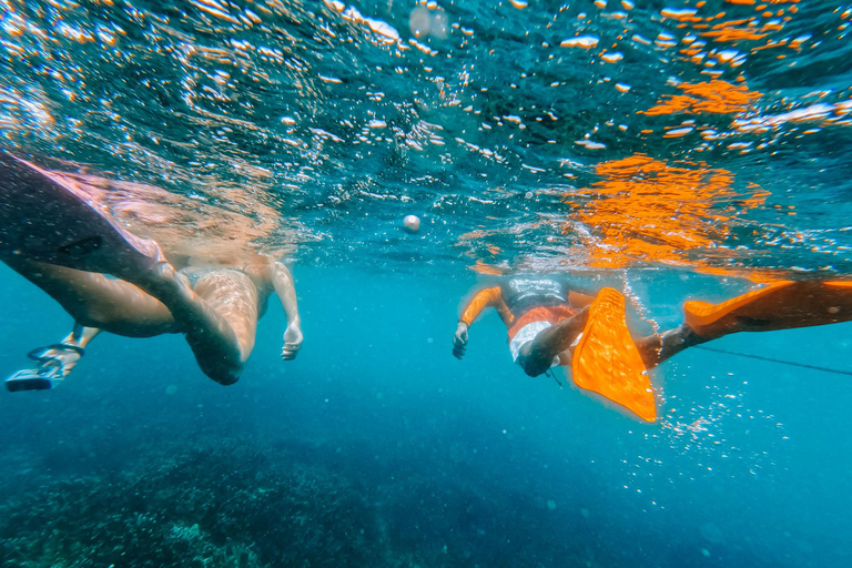 Fauna salvaje de Sri Lanka: tour de lujo de 10 días con todo incluido