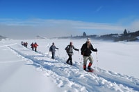Bansko, Easy snowshoeing Pirin National Park & thermal spa - Hizvo