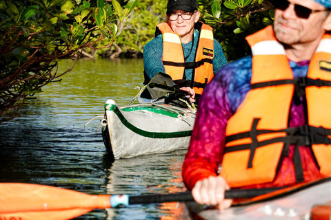 Sea Kayak Tour - Mangrove Safari