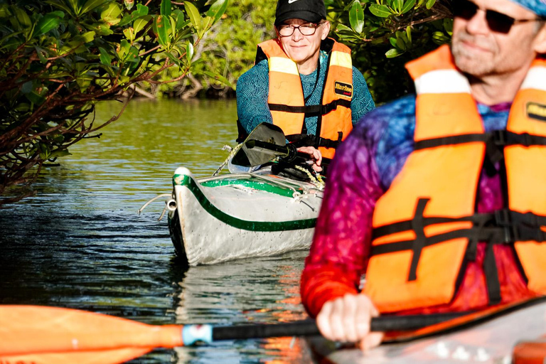 Sea Kayak Tour - Mangrove Safari