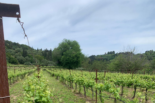 Kefalonia Wine Tour on E-Bikes