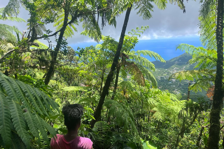 Caminhada no Pico Nevis